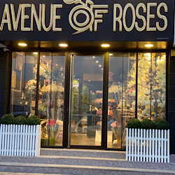 AVENUE OF ROSES