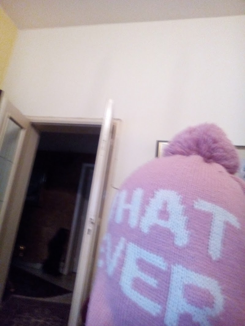 Chaton Kids Fashion
