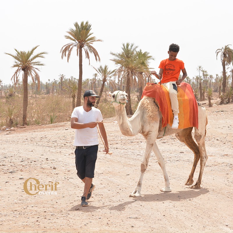 Cherif Events