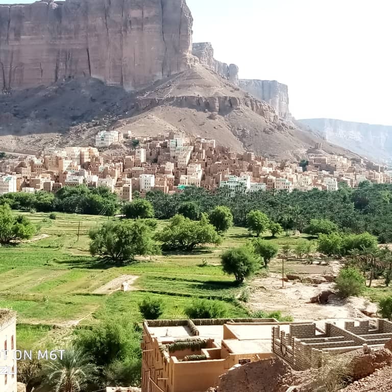 Easy Yemen Tours
