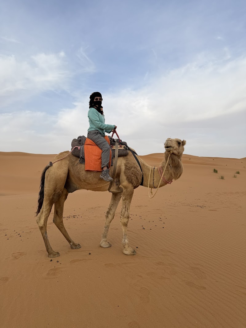Enjoy Desert Tours