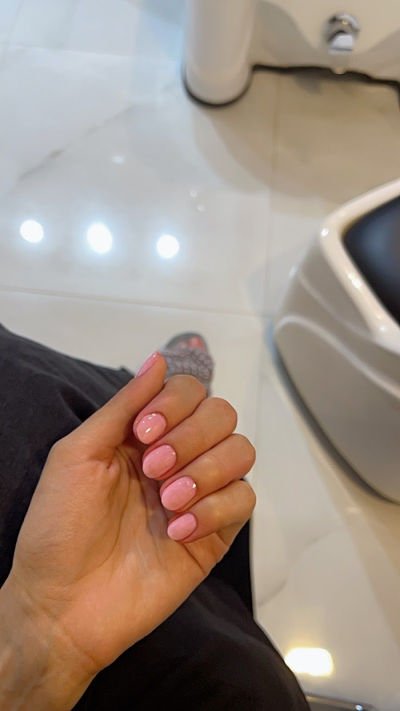 Instant elegance salon