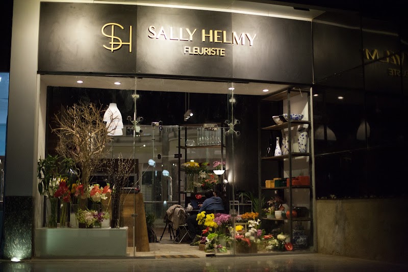 SALLY HELMY