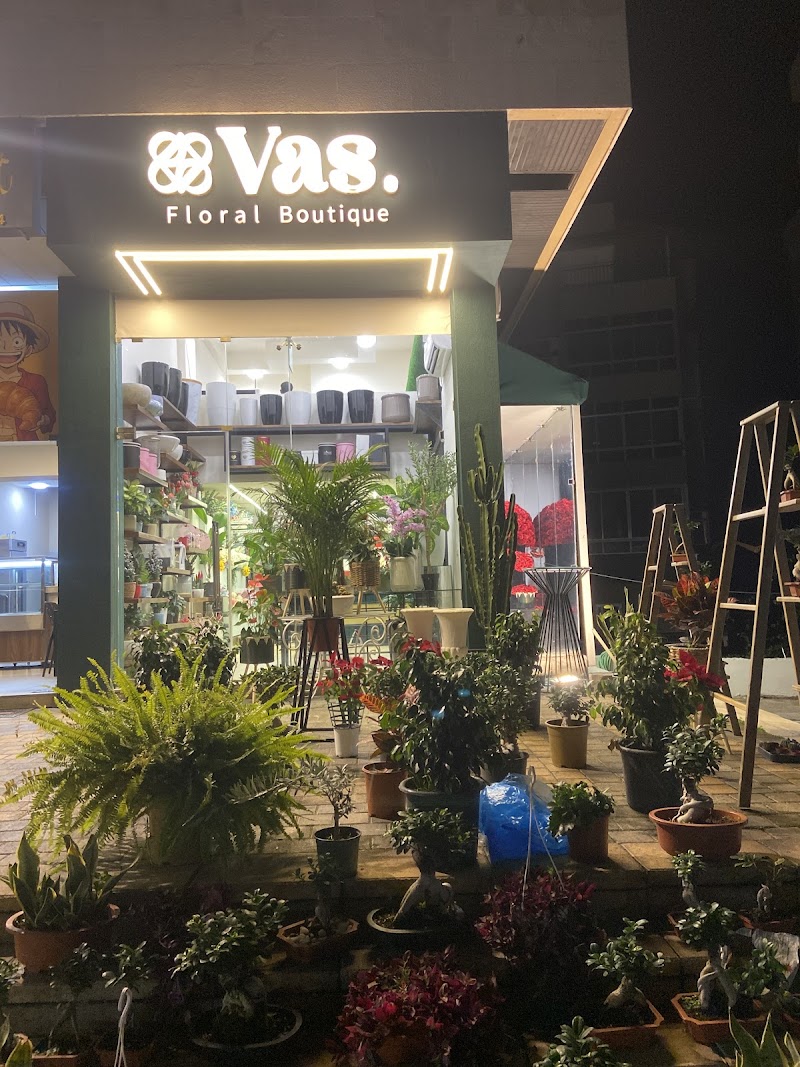 Vas