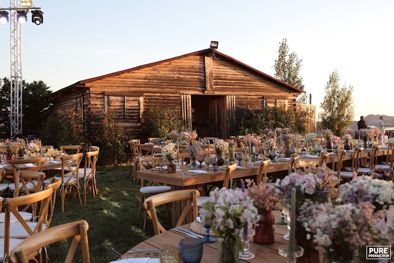 Wedding planner - Table No.7