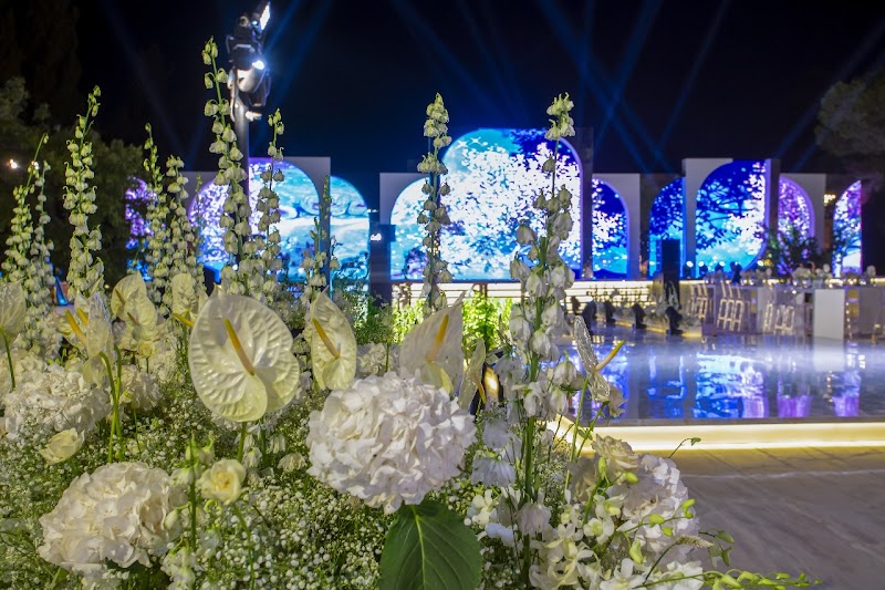 Z Events JO